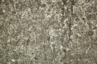 küflenmiş duvar arkaplanı, kirli beton duvarın grunge dokusu