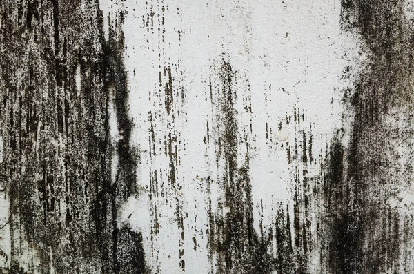 Milde Wand Hintergrund Grunge Textur Der Schmutzigen Zementwand — Stockfoto