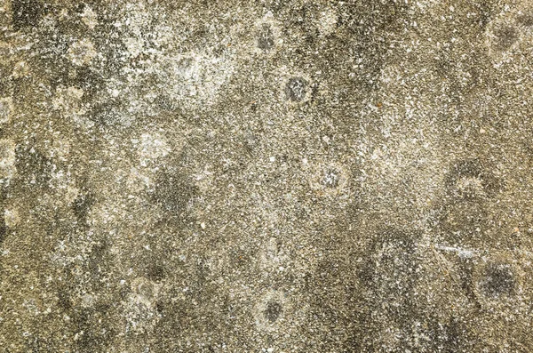 Mildewed Wall Background Grunge Texture Dirty Cement Wall — Stock Photo, Image