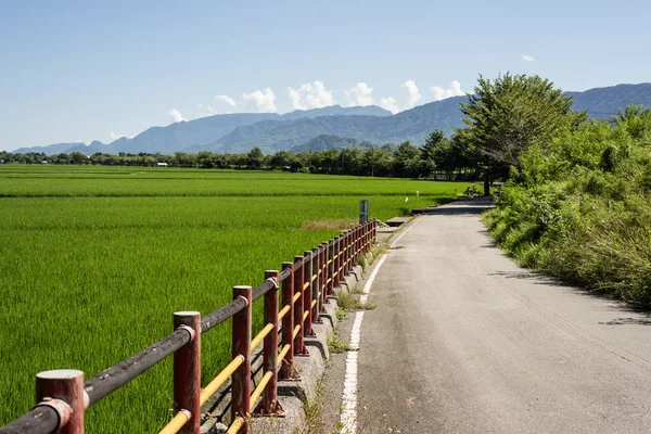 Silnice Zelených Rýžových Hospodářství Venkově — Stock fotografie