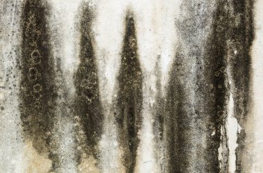 küflenmiş duvar arkaplanı, kirli beton duvarın grunge dokusu
