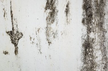 küflenmiş duvar arkaplanı, kirli beton duvarın grunge dokusu