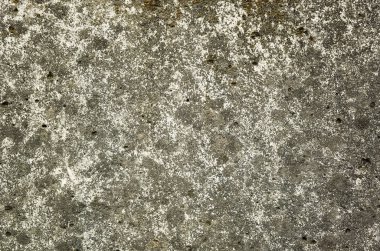 küflenmiş duvar arkaplanı, kirli beton duvarın grunge dokusu