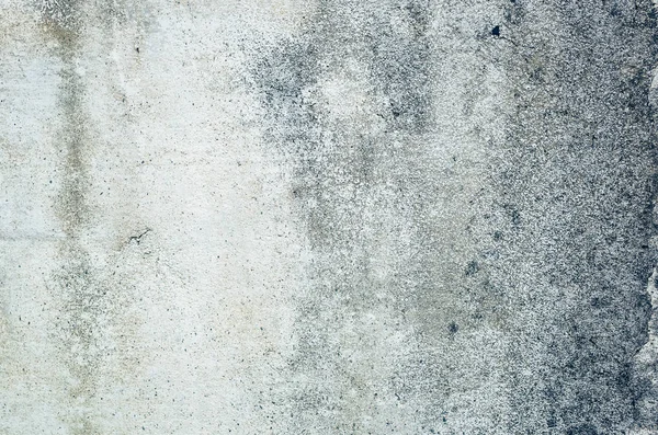 Цвілий Фон Стіни Гранжева Текстура Брудної Цементної Стіни — стокове фото