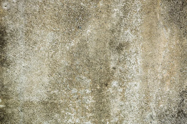 Mildewed Wall Background Grunge Texture Dirty Cement Wall — Stock Photo, Image