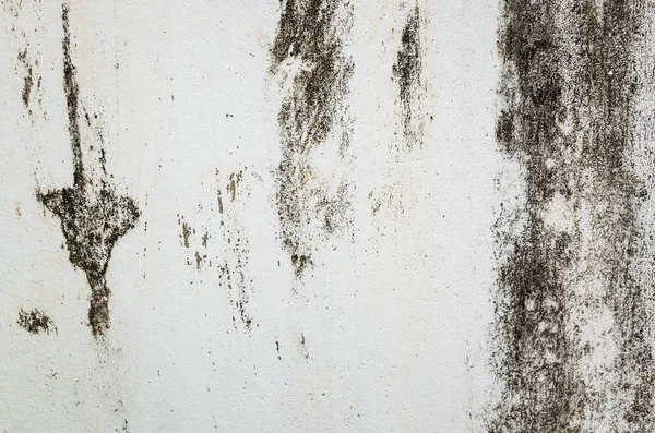 Mildewed Wall Background Grunge Texture Dirty Cement Wall — Stock Photo, Image