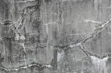 küflenmiş duvar arkaplanı, kirli beton duvarın grunge dokusu