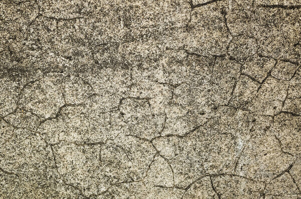 плесени стены фона, гранж текстуры грязной цементной стены