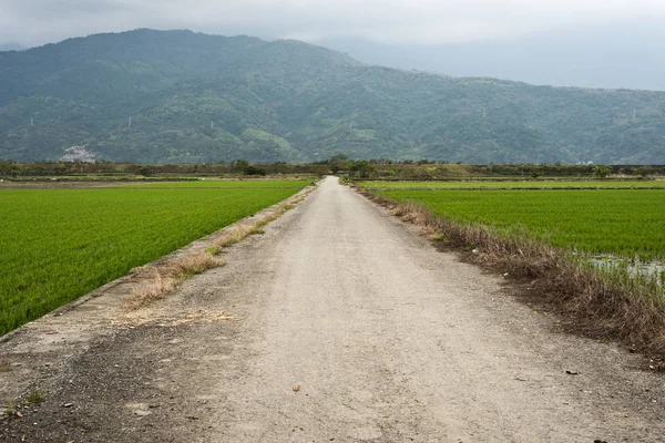 Paisagem Rural Uma Estrada Fazenda — Fotografia de Stock