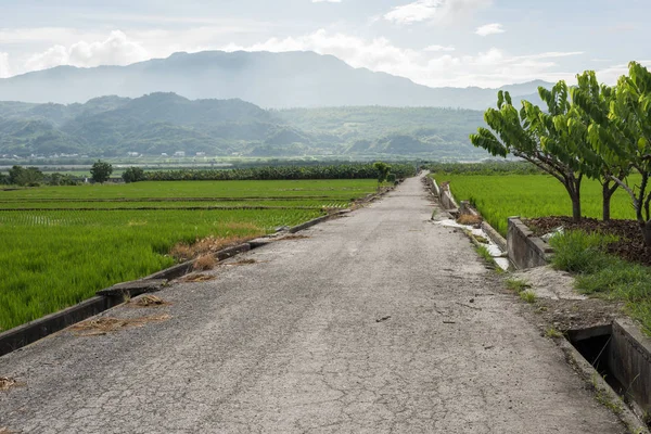 Paisaje Carretera Campo Con Cielo Nublado —  Fotos de Stock