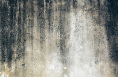 küflenmiş duvar arkaplanı, kirli beton duvarın grunge dokusu