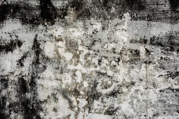 Fondo Della Parete Muffa Grunge Texture Del Muro Cemento Sporco — Foto Stock