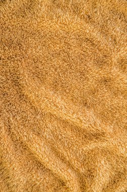 yün veya pamuk bez ya da tuval doku