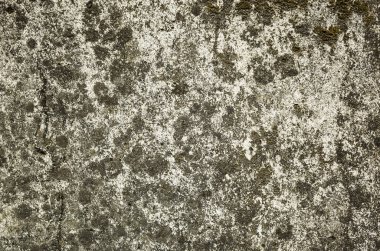 küflenmiş duvar arkaplanı, kirli beton duvarın grunge dokusu