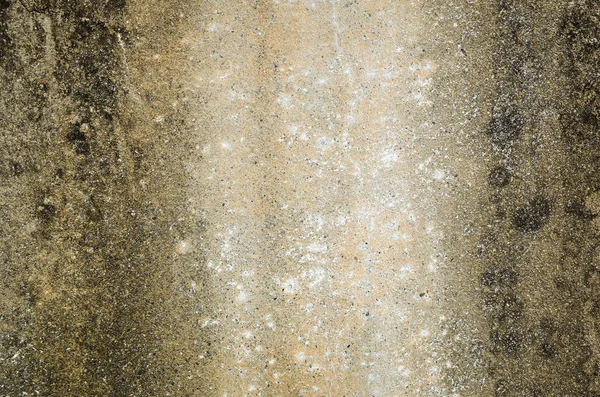 Möglig Vägg Bakgrund Grunge Konsistens Smutsig Cementvägg — Stockfoto