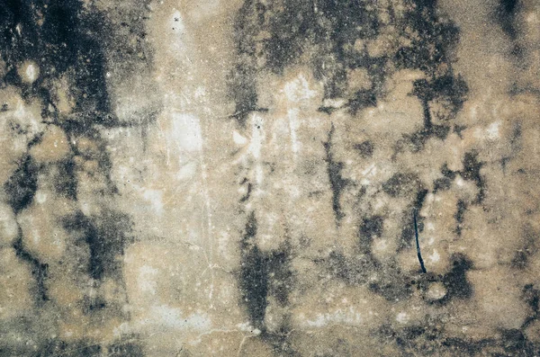 Mildewed Wall Background Grunge Texture Dirty Cement Wall — Stock Photo, Image