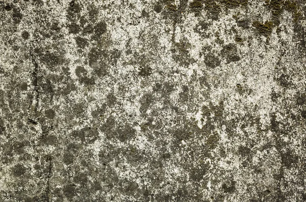 Milde Wand Hintergrund Grunge Textur Der Schmutzigen Zementwand — Stockfoto