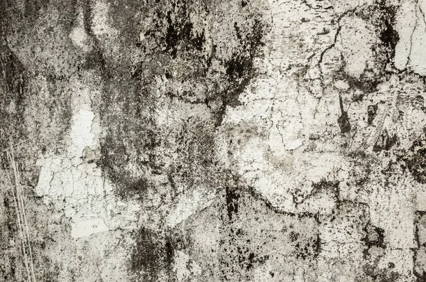 Mildewed Τοίχο Φόντο Grunge Υφή Βρώμικο Τοίχο Τσιμέντου — Φωτογραφία Αρχείου