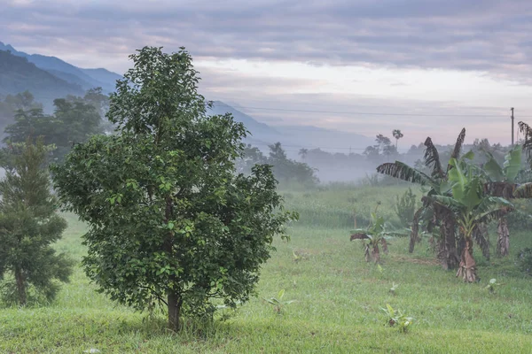 Paisaje Rural Con Sendero Pastizales Niebla — Foto de Stock