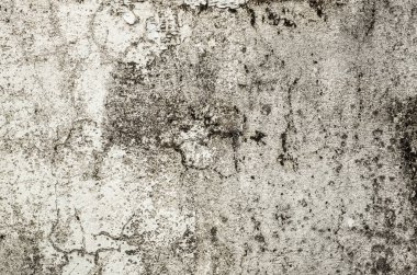 küflenmiş duvar arkaplanı, kirli beton duvarın grunge dokusu