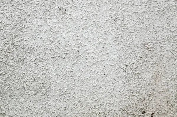 Mur Ciment Gris Grunge Blanc — Photo