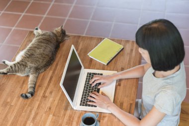 Evde kedisi masada yatarken çalışan bir kadın.