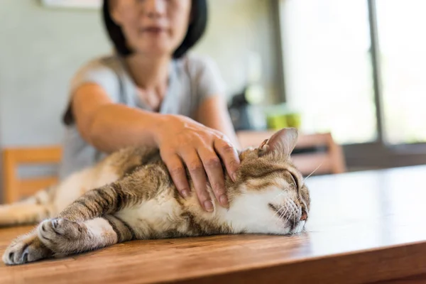 Asiática Madura Mujer Tocar Gato Casa — Foto de Stock