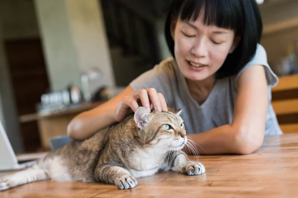 Asian Mature Woman Touch Her Cat Home — Stock Photo, Image