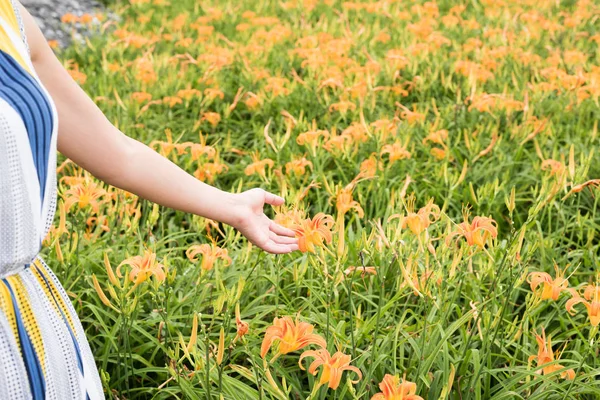 女性の手のクローズ アップ画像タッチ ファームの花 — ストック写真