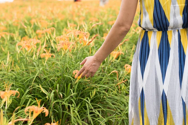 Nahaufnahme Bild Der Frau Hand Berühren Die Blume Auf Dem — Stockfoto