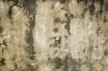 küflenmiş duvar arka plan