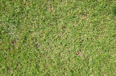 otlak doku arka plan