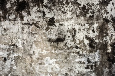 küflenmiş duvar arka plan