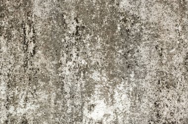 küflenmiş duvar arka plan