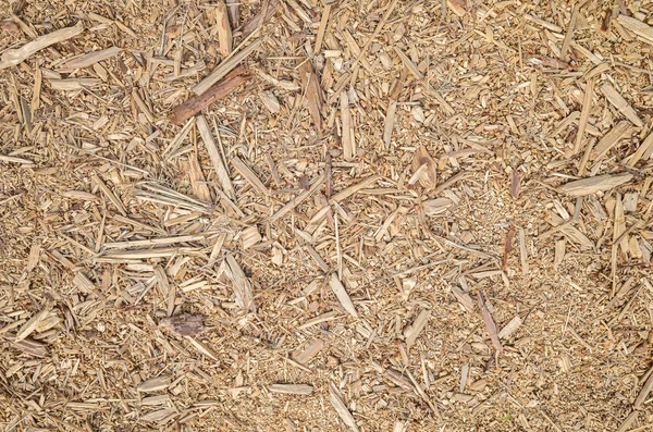 Wooden and lumber sawdust — Stock Photo, Image