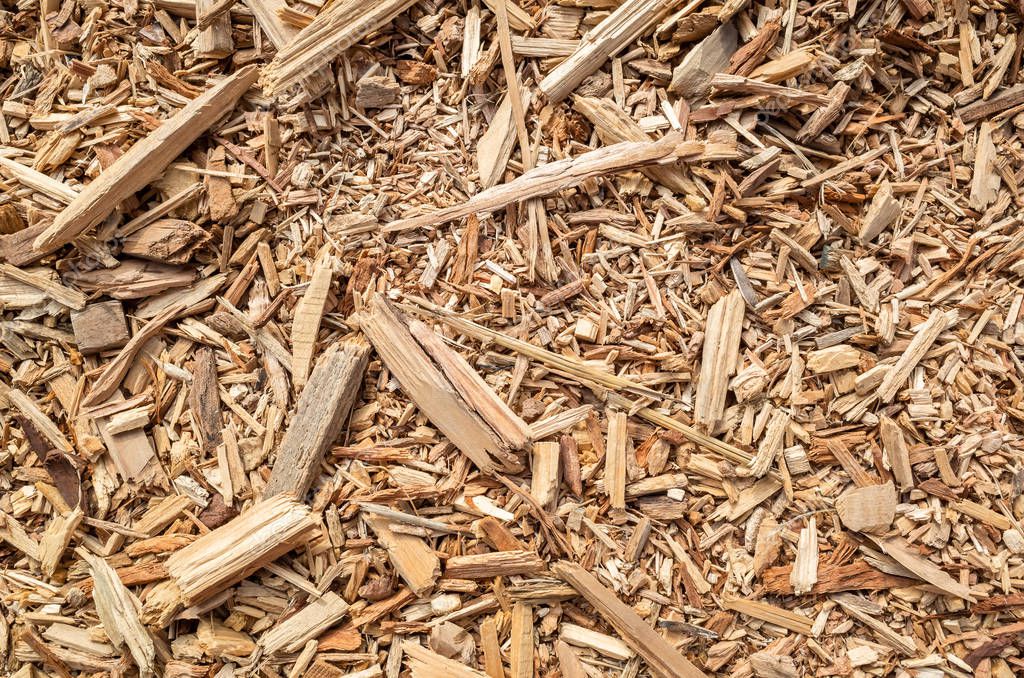 aserrín de madera y madera 2023