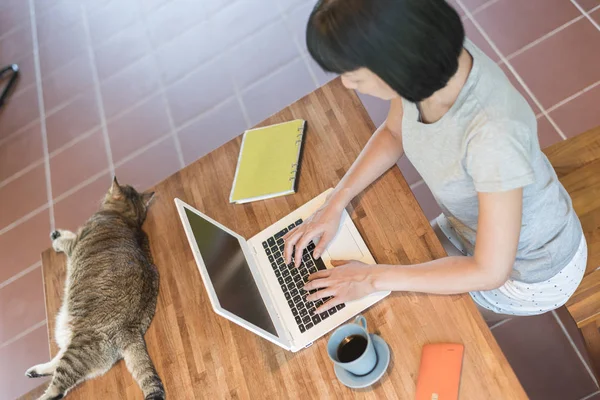 Working at home with her cat — Stock Photo, Image