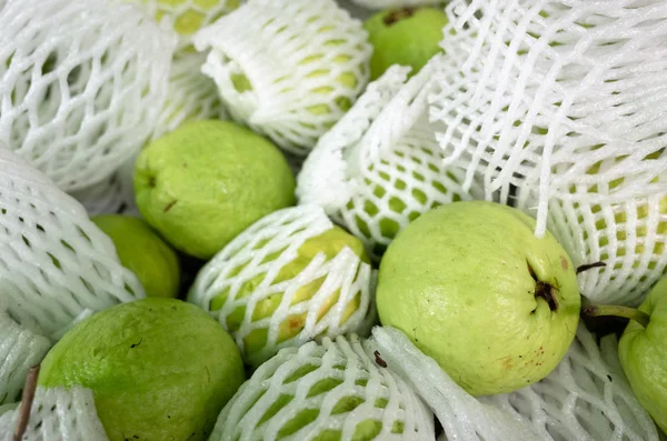 Fresh guava fruit — Stock Photo, Image