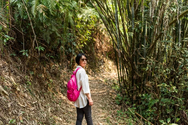 Mujer viajera caminar en el bosque — Foto de Stock