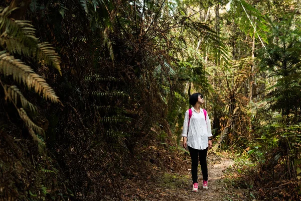 Resor kvinna promenad i skogen — Stockfoto