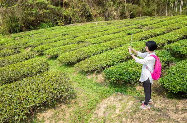 Mulher viajante tirar uma foto — Fotografia de Stock