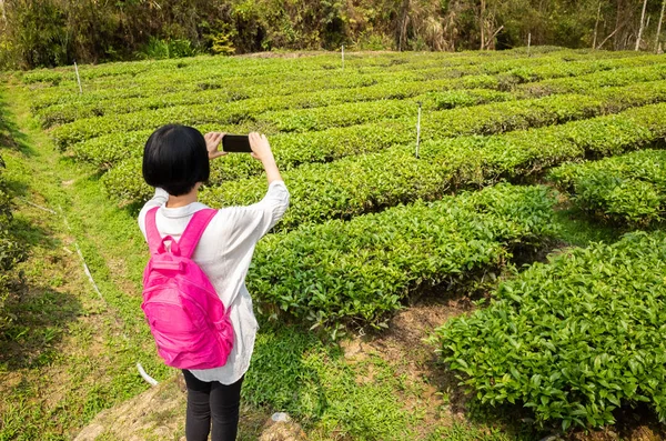 Traveling woman take a picture — Stock Photo, Image