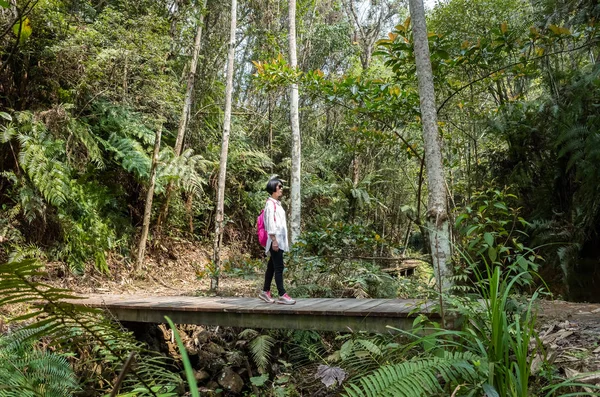 Viajando mulher andar na ponte — Fotografia de Stock