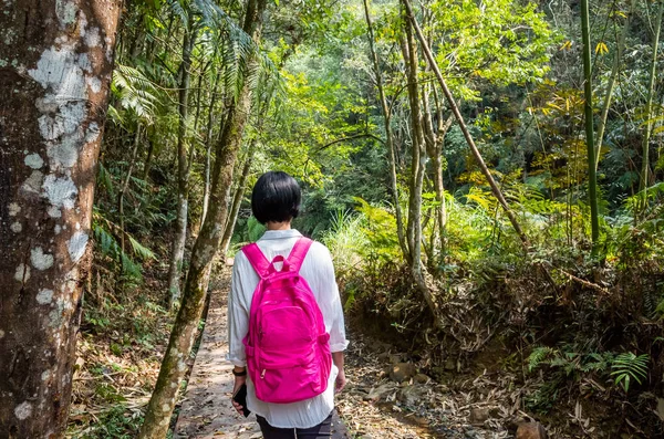 Mujer viajera caminar en el bosque — Foto de Stock