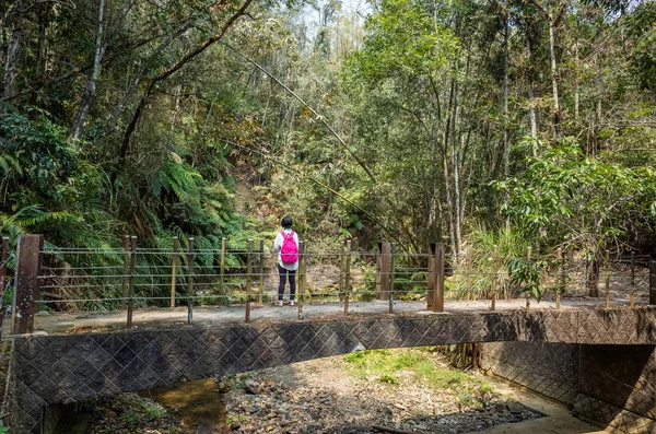 Mujer viajera caminar en el puente —  Fotos de Stock