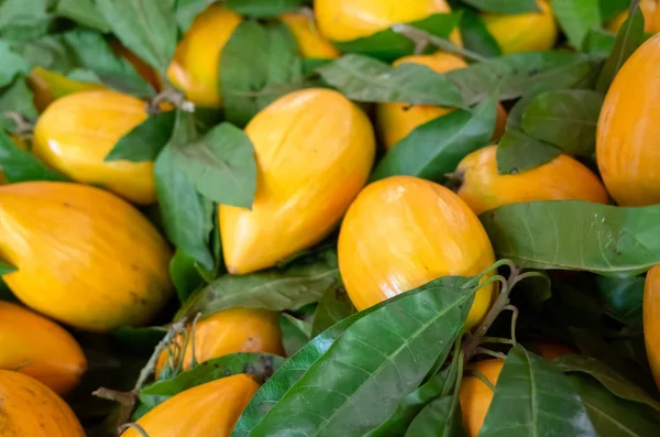 Yellow tropical fruit of canistel — Stock Photo, Image