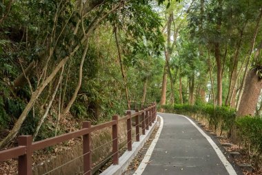 kimse ile ağaçların yanında küçük yol