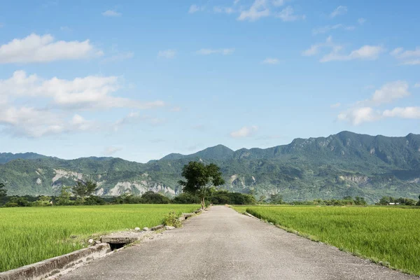 田園風景 — ストック写真