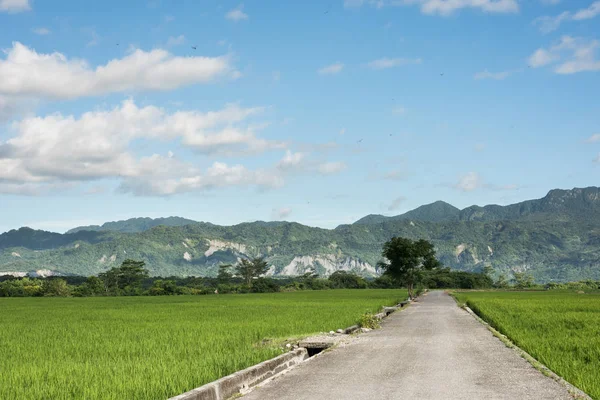 Landelijk landschap — Stockfoto