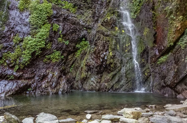 Wasserfall mit See im tropischen Wald — Stockfoto